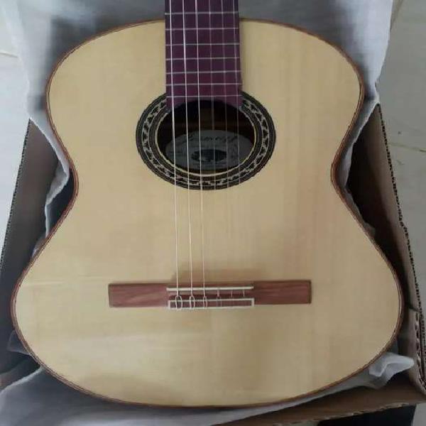 Guitarra profesional