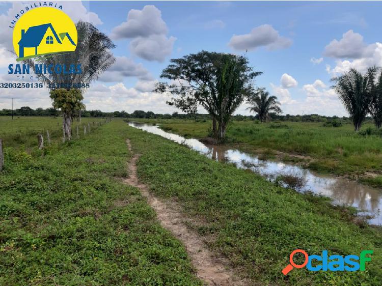 VENDO FINCA EN PUERTO RONDON (ARAUCA)