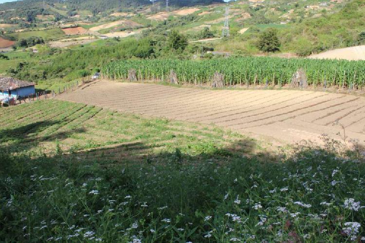 venta de terreno entre Marinilla y el Peñol- Antioquia