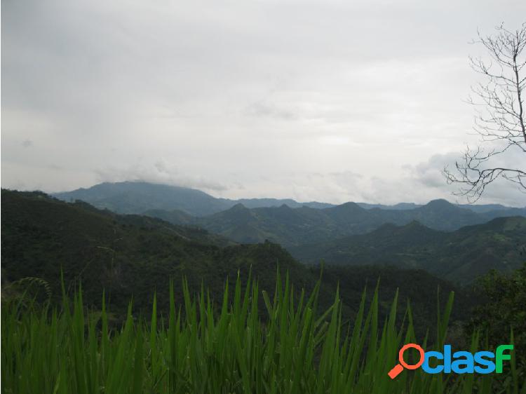 Lote en venta en La Vega Cundinamarca