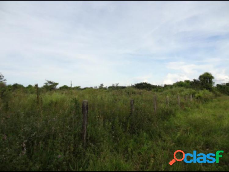 SE VENDE LOTE EN YOPAL, CASANARE.VEREDA MATA LARGA