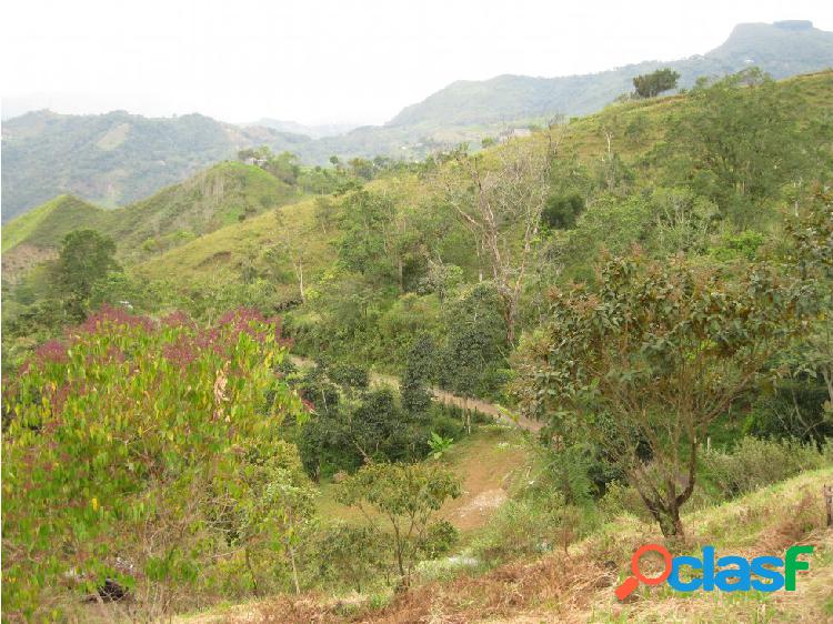 venta Finca en La vega