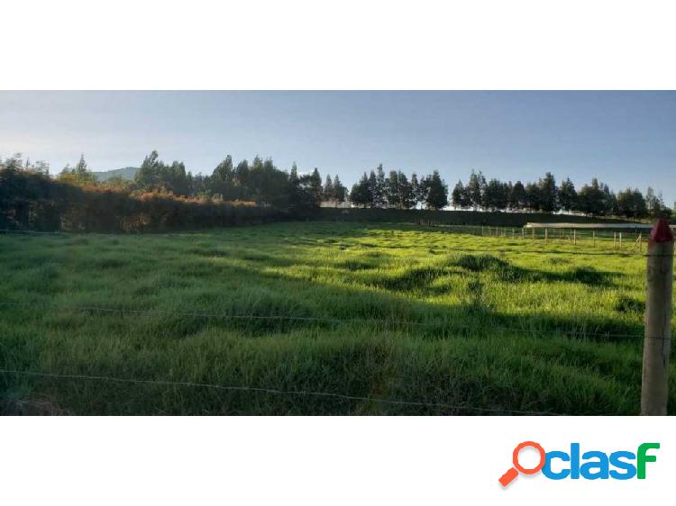 Venta de lote en la Unión Antioquía