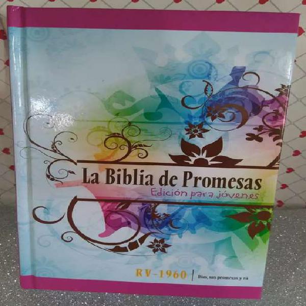 Biblia promesas para jóvenes