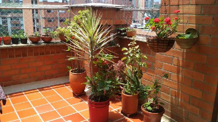 Lindo Apartamento en Laureles