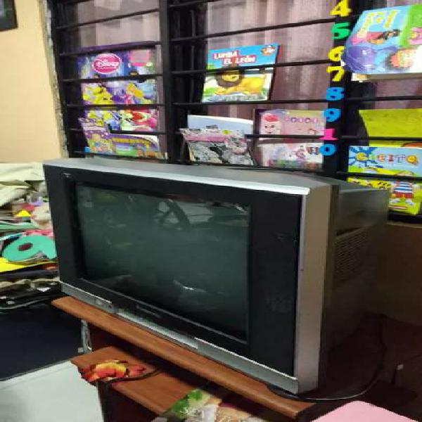 Televisor panasonic