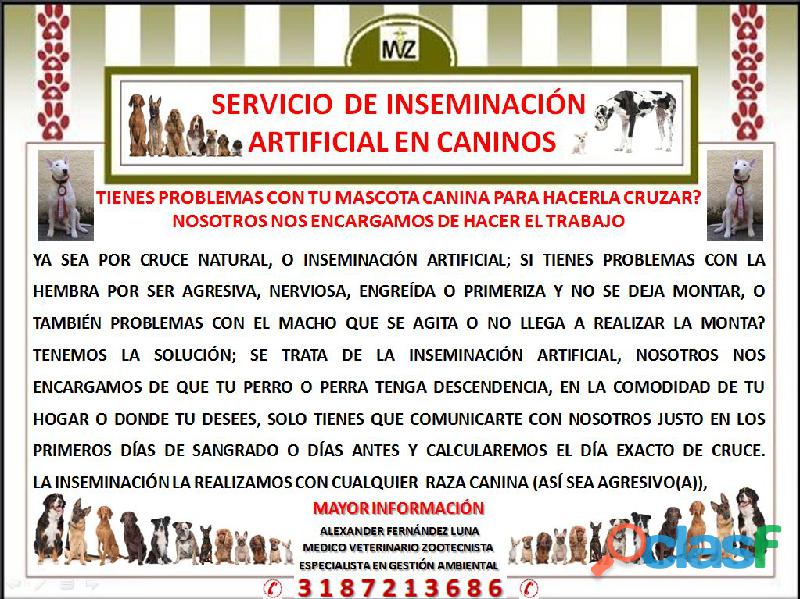 servicio de inseminación artificial en perros