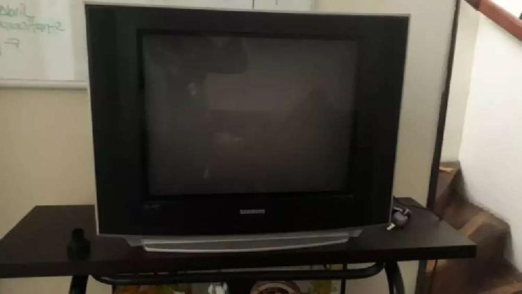 Se vende televisor económico