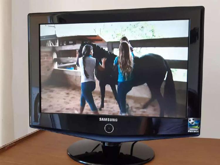 TV Samsung 19' dual para PC y TV Excelente!