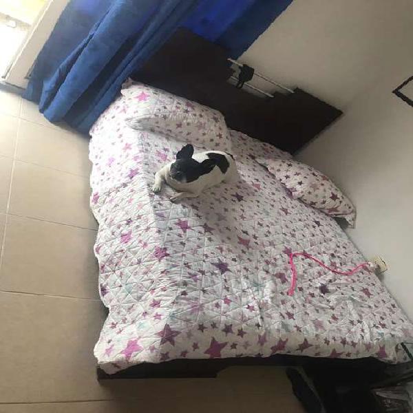 Vendo cama doble con colchon