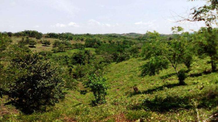 Finca En Venta En Baranoa Jurudiccion Las Palamitas