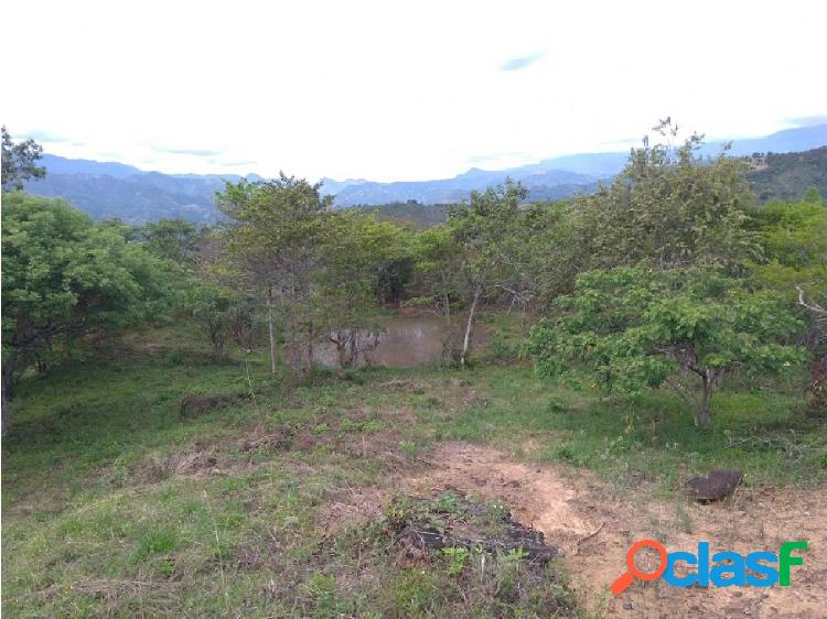 Finca con agua propia entre Anapoima - La Mesa