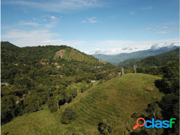 Finca de 52000 m2 en La Mesa Vd Florian