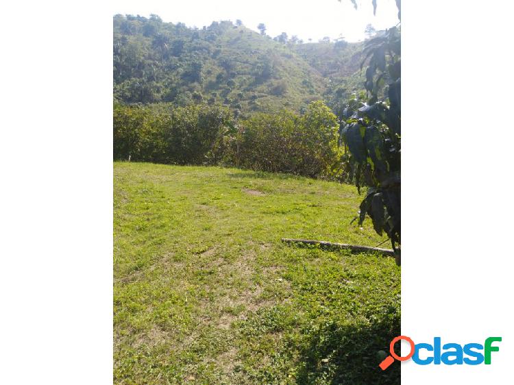 Finca en La Mesa Sector San Javier