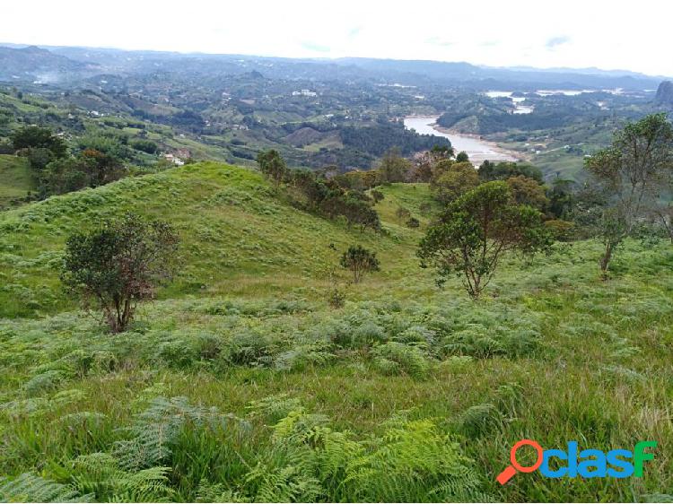 LOTE DE 10 HECTAREAS EN EL PEÑOL. ECONÓMICO