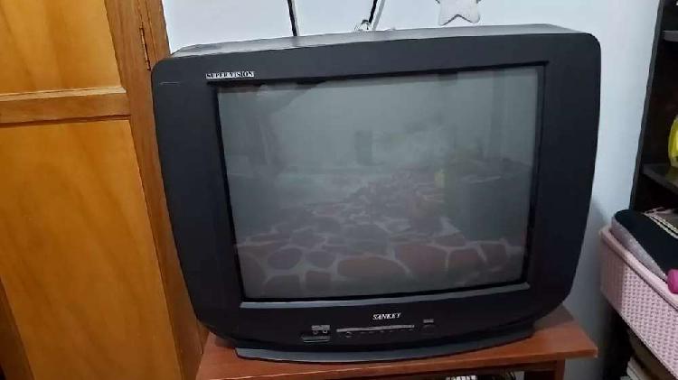 Televisor Sankey 21" pulgadas