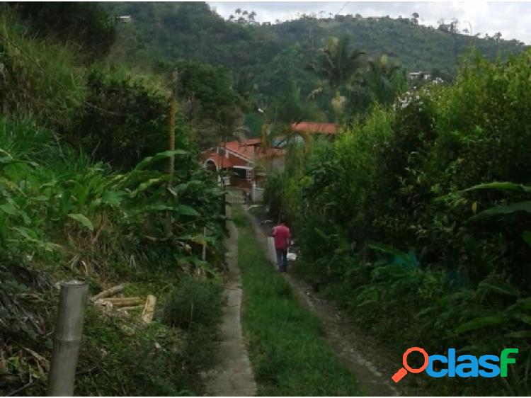 Venta de finca en San Peregrino, Manizales - 20345