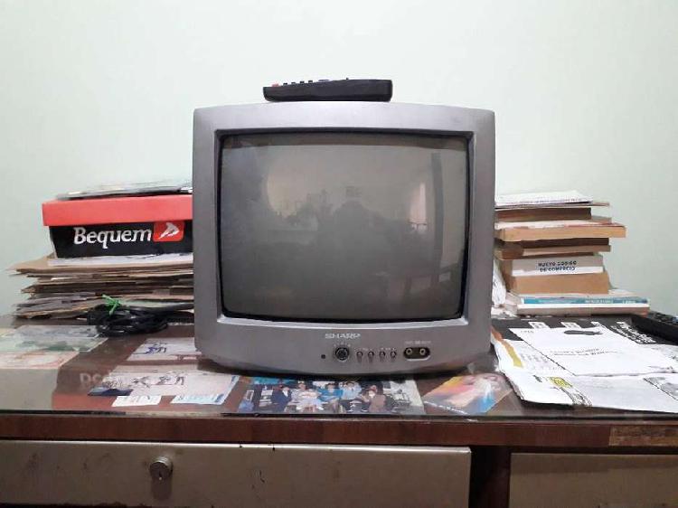 VENDO TELEVISOR CONVENCIONAL DE 14 PULGADAS.