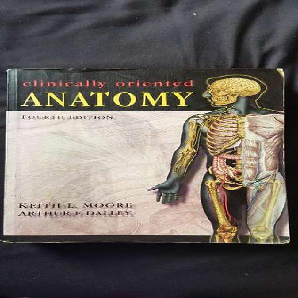 Anatomía Moore 4ta Edición Ingles