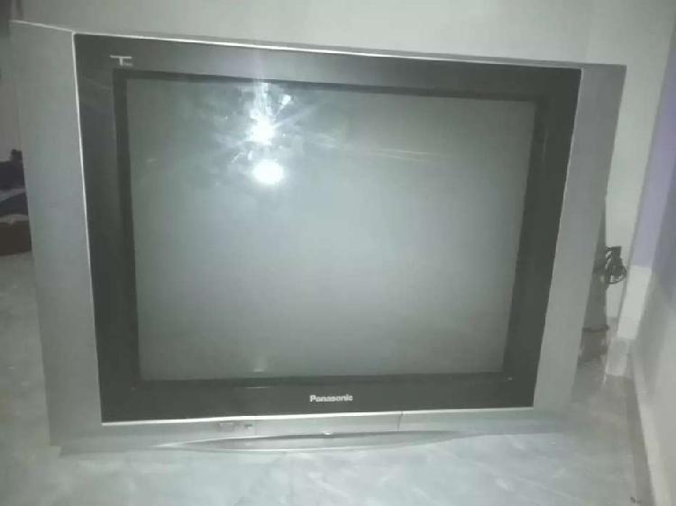Televisor Panasonic Modelo TV Tau 21 Pulgadas
