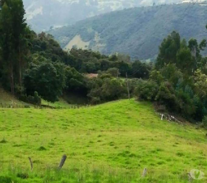 VENDO LOTE EN BELEN, BOYACÁ