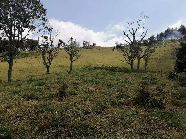 Se venden 12 plazas de lote en la vereda villamaria en el