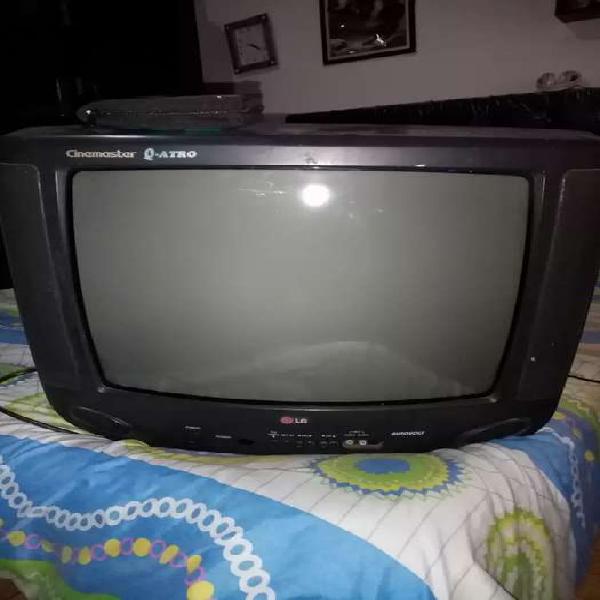Televisor de 21 pulgadas