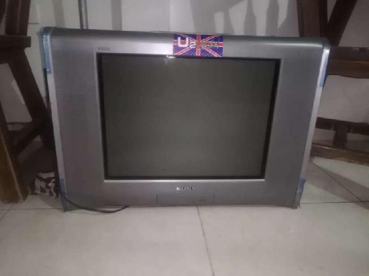 Vendo televisor Sony en muy buen estado