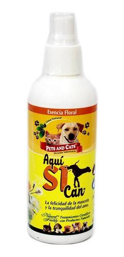 Aqui Si Can Pets And Cats Floral X 240ml