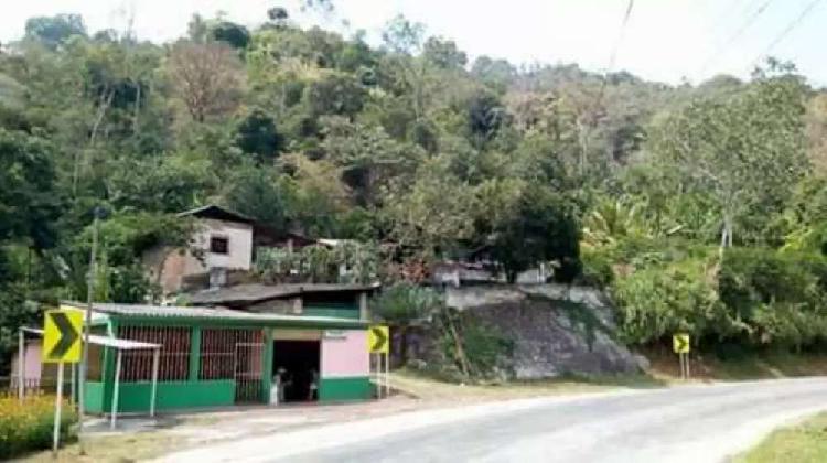 Se vende finca en Rionegro