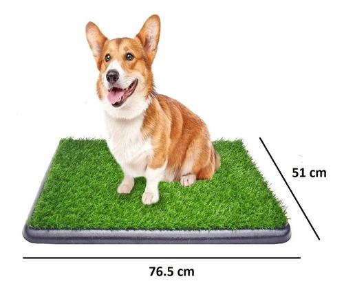 Tapete Entrenador Mascotas Con Grama 76.5cmx51cm + Juguete