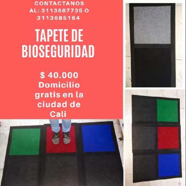 Tapete de bioseguridad