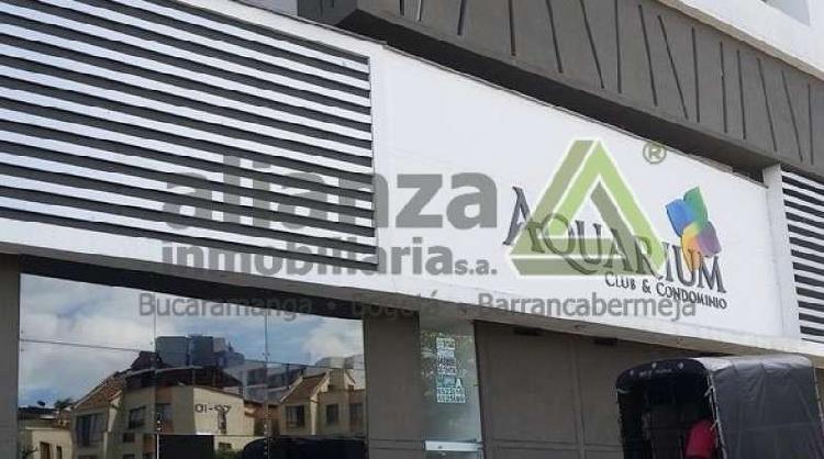 Apartaestudio En Arriendo En Bucaramanga Albania