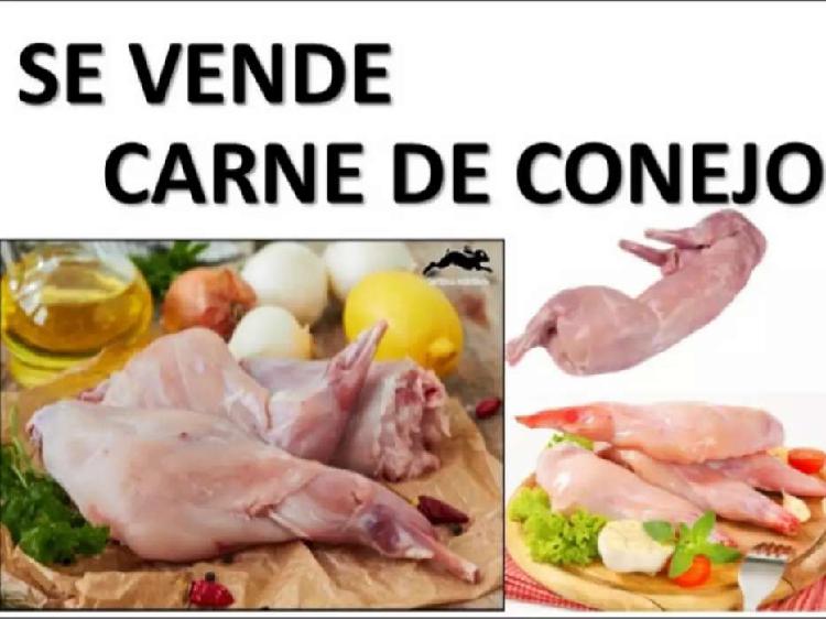 Carne de conejo en canal