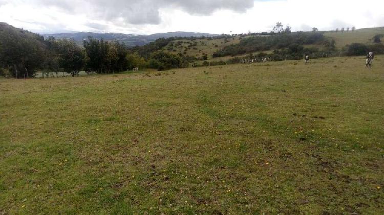 vendo finca pequeña en tuta boyaca