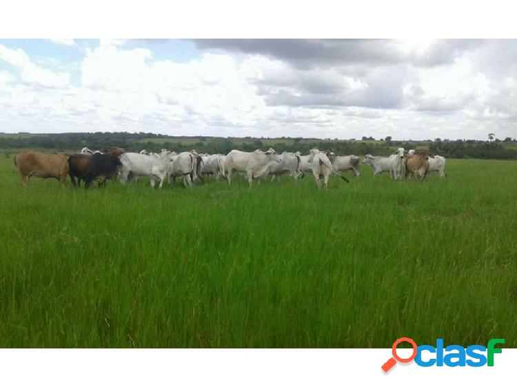 FINCA EN PUERTO LOPEZ DE 5.000 HECTAREAS GANADERAS