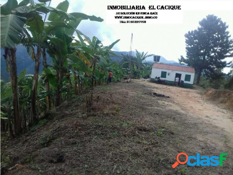 FINCA EN VENTA EN RIONEGRO SANTANDER– 28 HECT-CÓDIGO