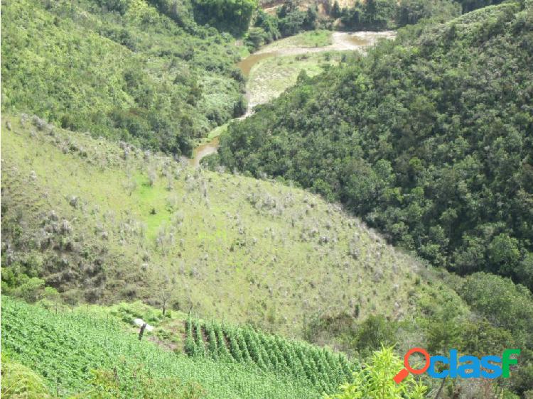 FINCA PARA LA VENTA SECTOR ABEJORRAL- EL BUEY