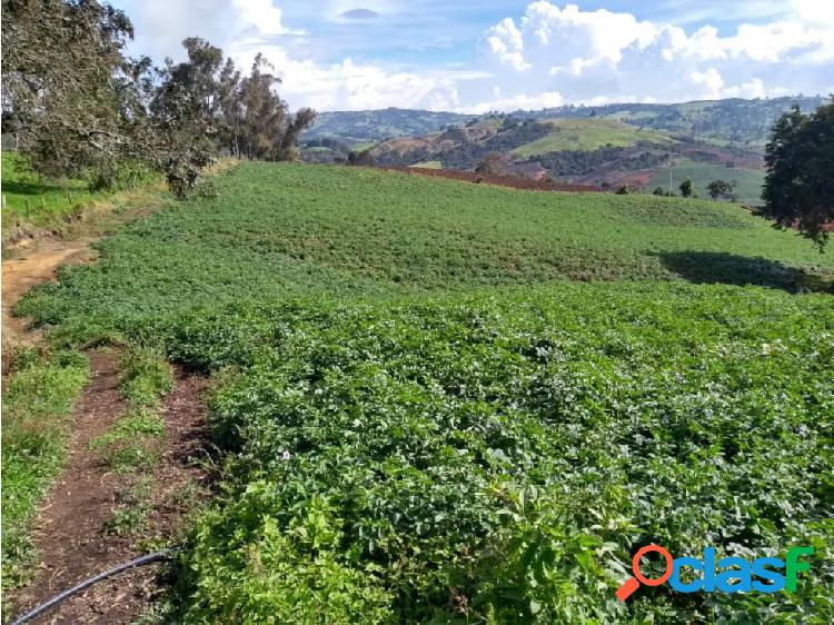 LOTE DE 17 CUADRAS EN SAN PEDRO DE LOS MILAGROS