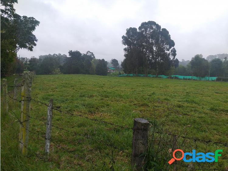 LOTE PLANO Y BIEN UBICADO EN SAN PEDRO! GANGA