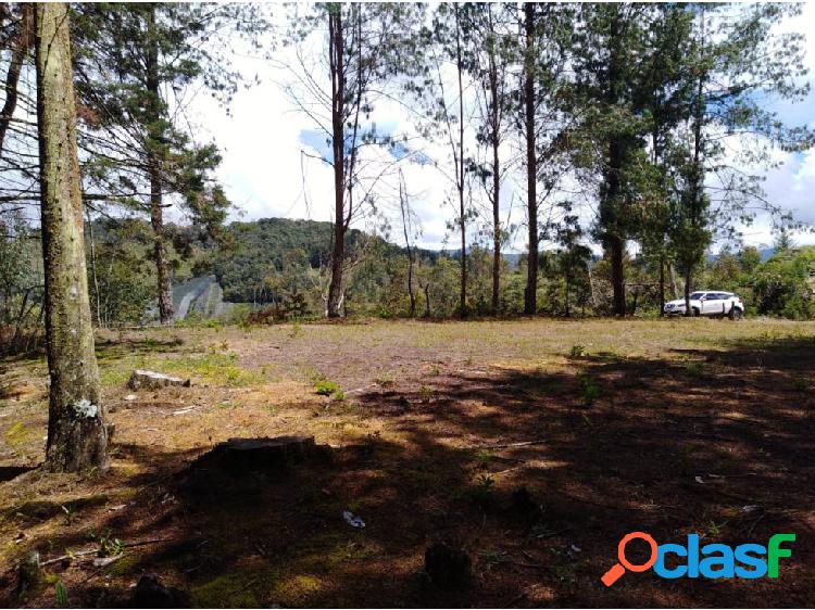 Lote Retiro, vereda Amapola