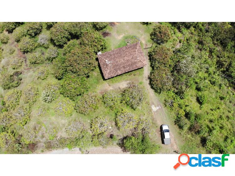 Lote en Venta en Guarne sector Guapante Abajo