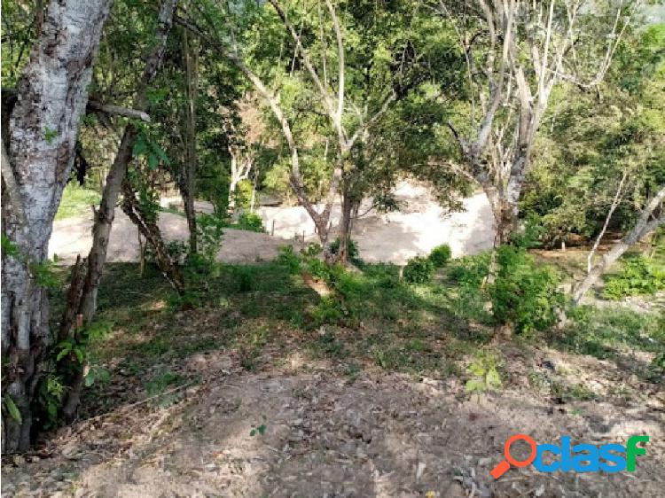 Maat Vende lote en vereda Bagazal, Villeta