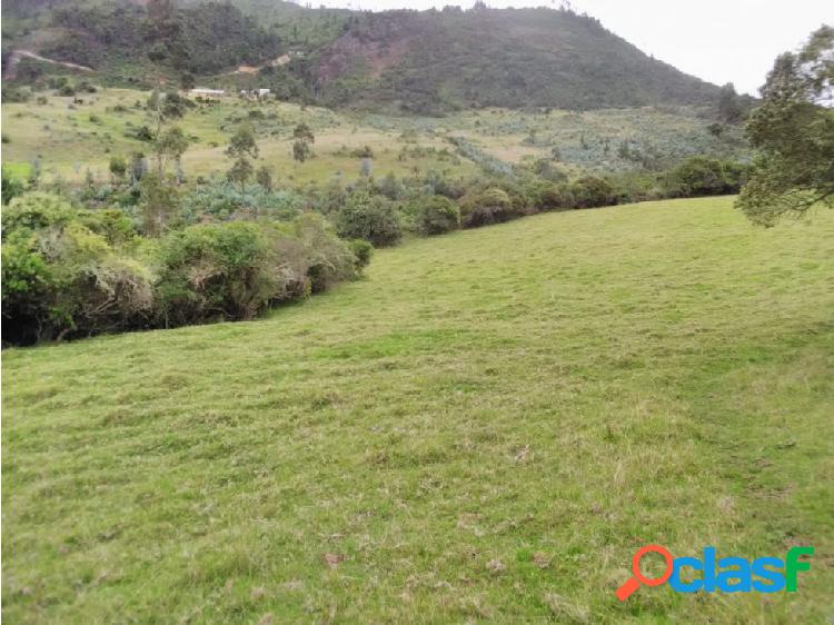 SE VENDE FINCA 12 F. MARIANO OSPINA GUASCA