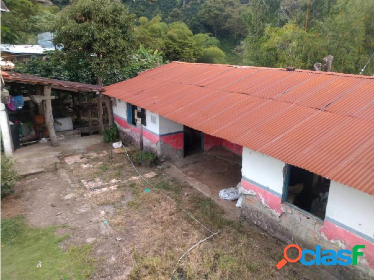 Se Vende Finca 10 Cuadras. Cordoba. Quindío