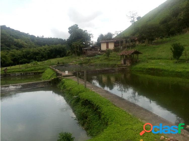 VENTA FINCA EN SANTA ROSA DE CABAL