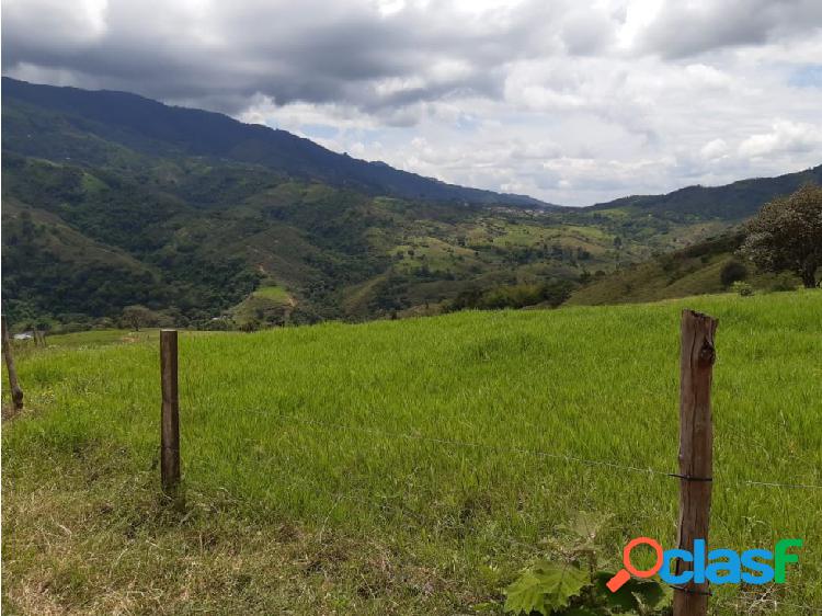 VENTA FINCA EN TULUA VALLE