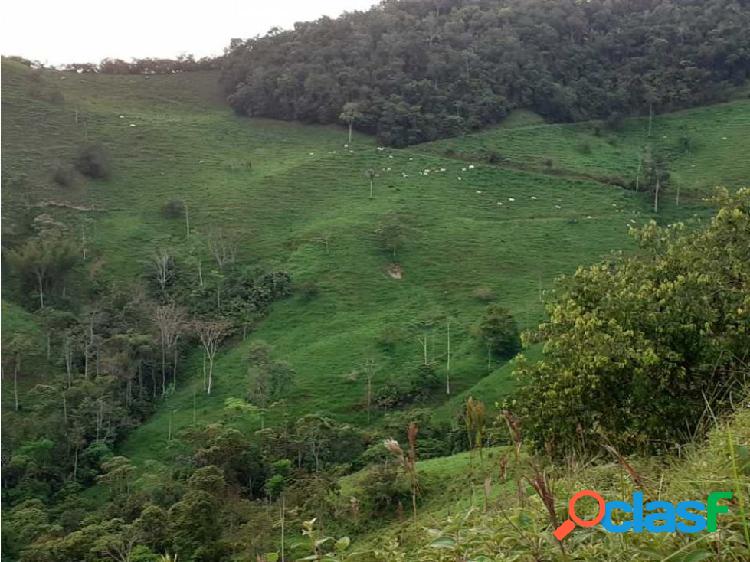 Venta de finca en otanche Boyacá 250 hectáreas
