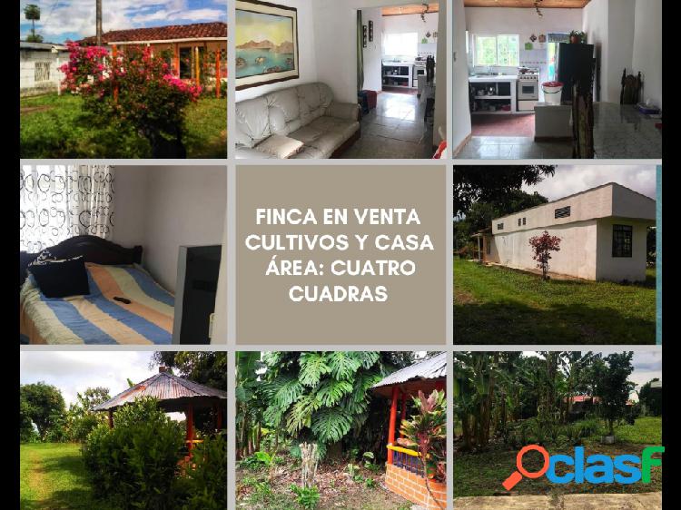 FINCA EN VENTA QUIMBAYA VIA FILANDIA 4768