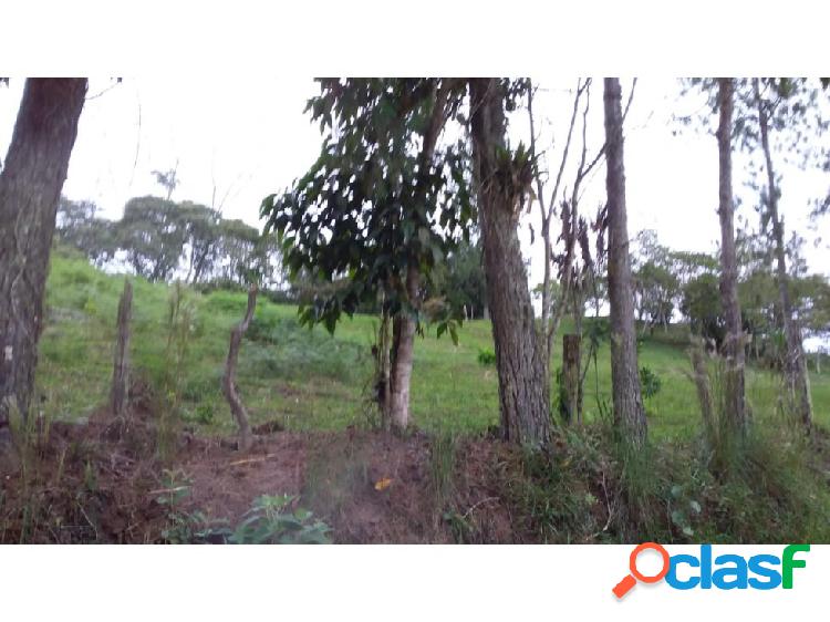 VENDO FINCA 13 HECTAREAS OIBA SANTANDER